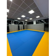 Tatamis MMA lisse bleu 5cm 2m x 1m Dessous antidérapant