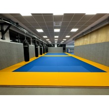 Tatamis MMA lisse bleu 5cm 2m x 1m Dessous antidérapant